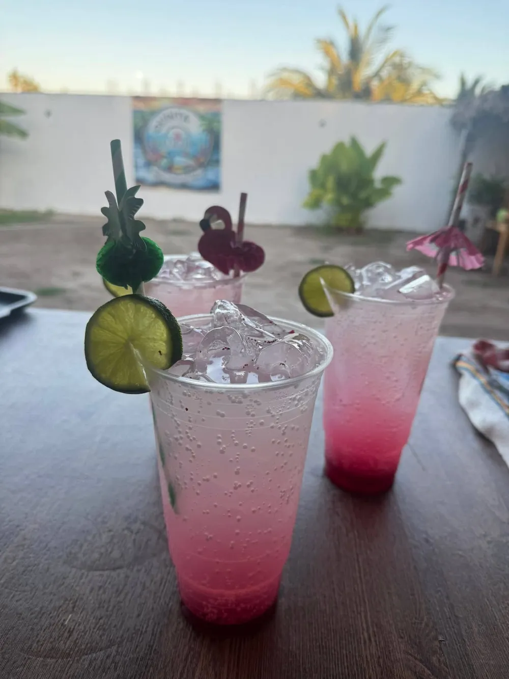 Bebidas